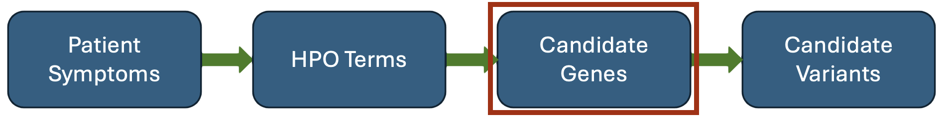 agent flowchart with candidate genes highlighted