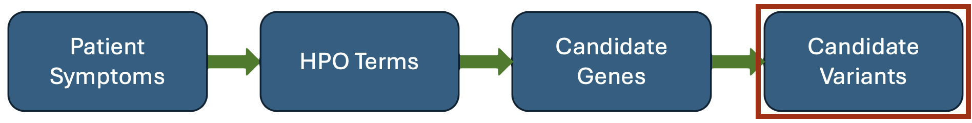 agent flowchart with candidate variants highlighted